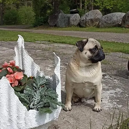 Дом отдыха Laugu