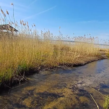 بيت للعطل Laugu