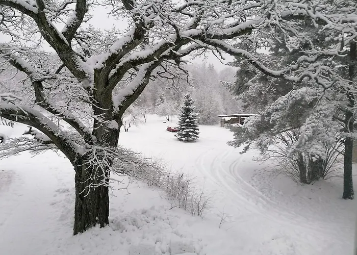 Dom wakacyjny Laugu *